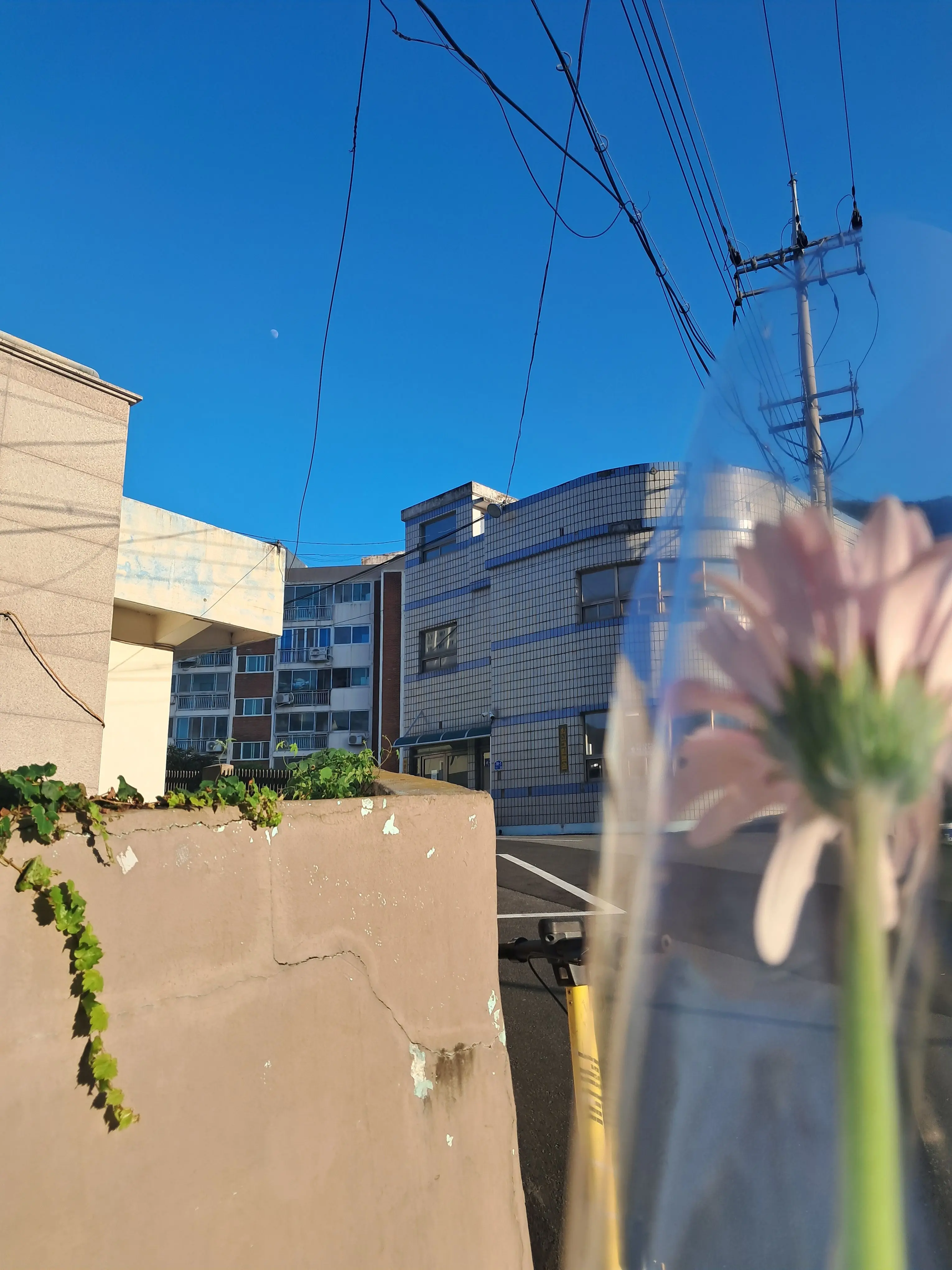 FoggyVideo2717의 좌충우돌 우당탕탕 고딩의 학교생활