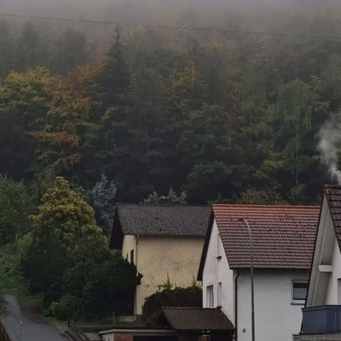 FolksyCumin0199의 Surprise in Germany