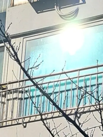 VaguePolar2025의 층간소음 문제