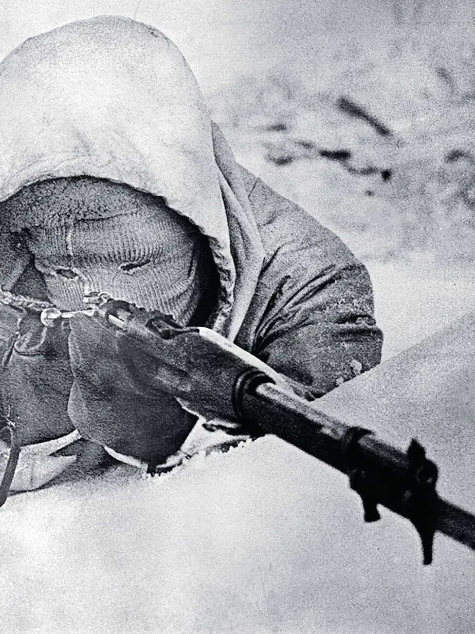 BeigeBarb3211의 시모 해위해