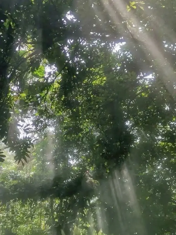 dx.ye1_의 2주 전 너와의 사별.