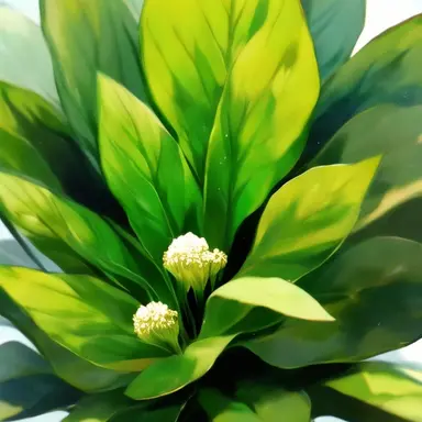 Profile image of 福良P