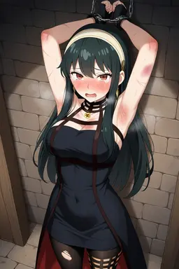 Profile image of ヨル・フォージャー