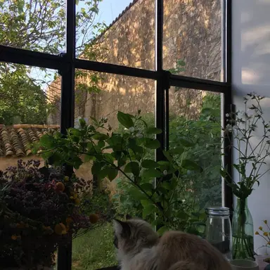 Profile image of ゆうま