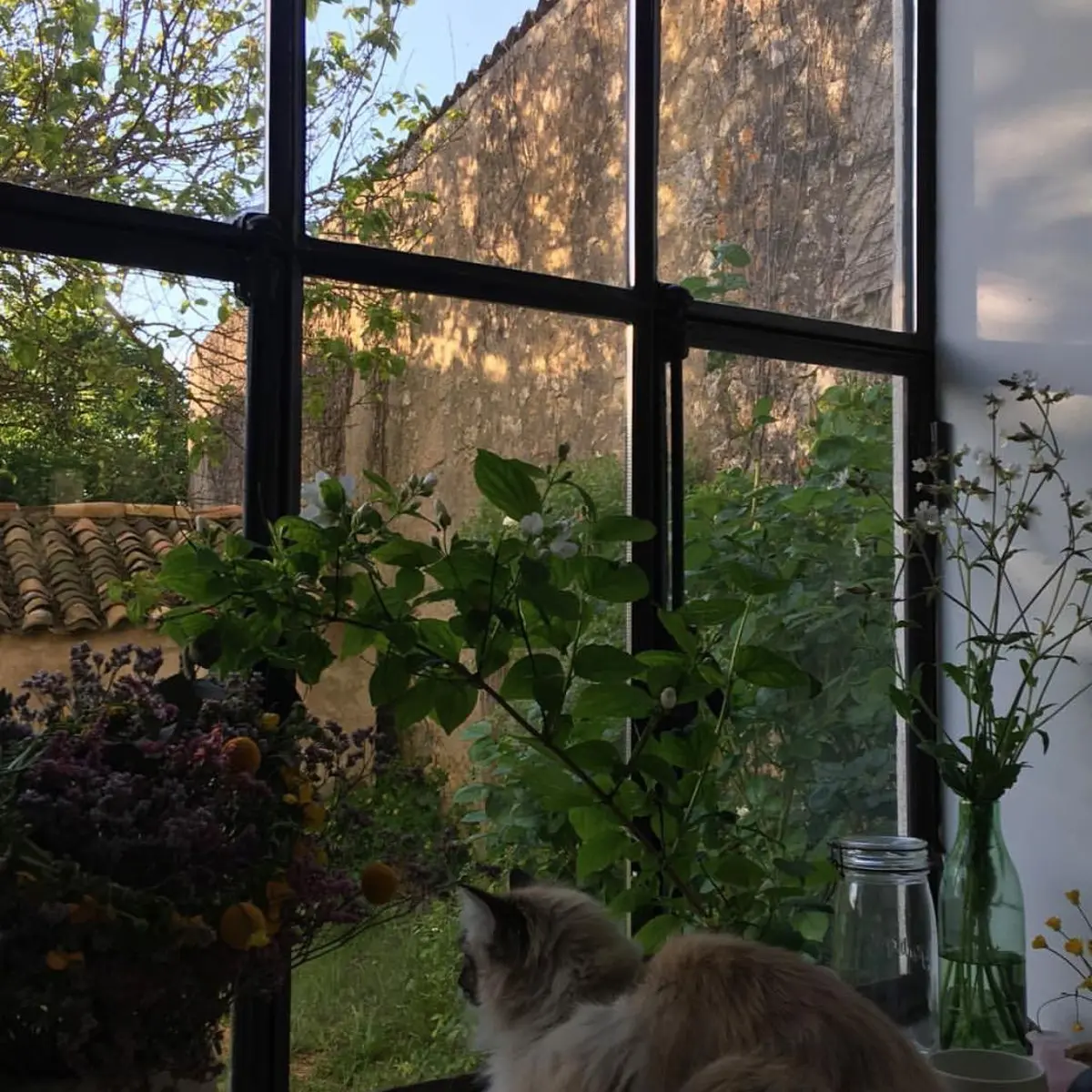 k_bmjjjo.의 & Y BRT