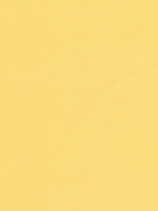 E 대표 이미지