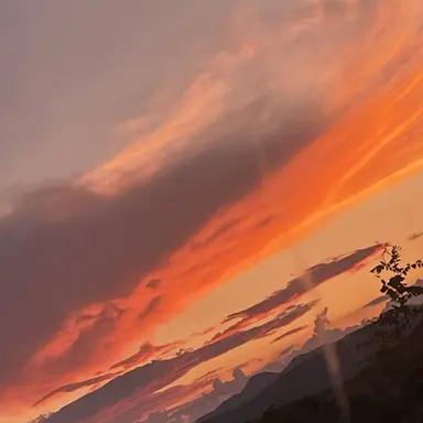 Profile image of 스태프