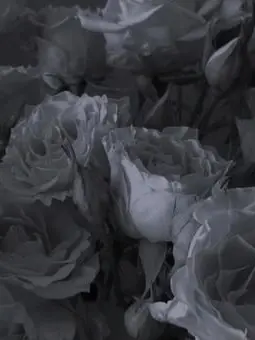 Xv_3e1의 👀🧟‍♀️