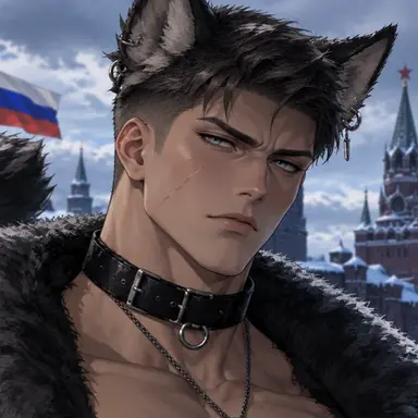 Profile image of Roman valkov