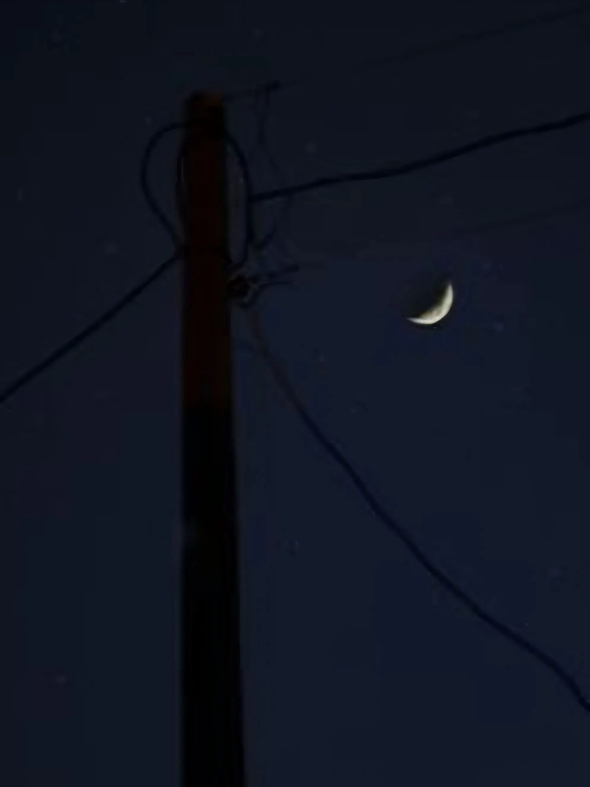 ChewyUrial4309의 -뜰팁과 담력체험-