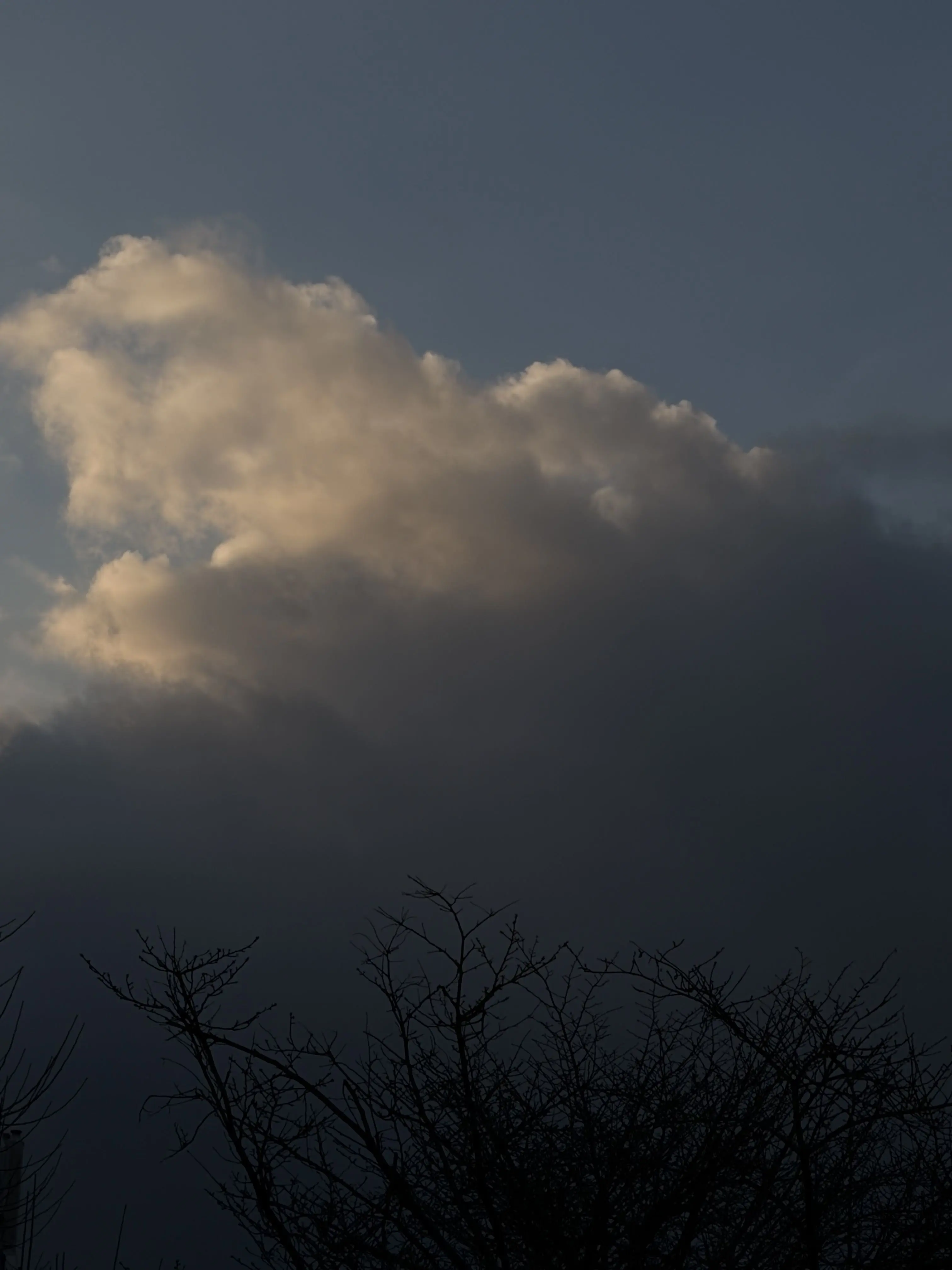 blackr0se_fl0wer의 사건파일 : 연쇄추돌사고