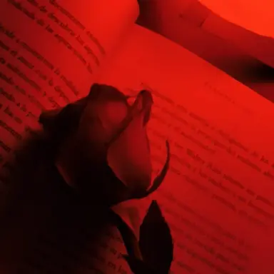 Profile image of 서라더