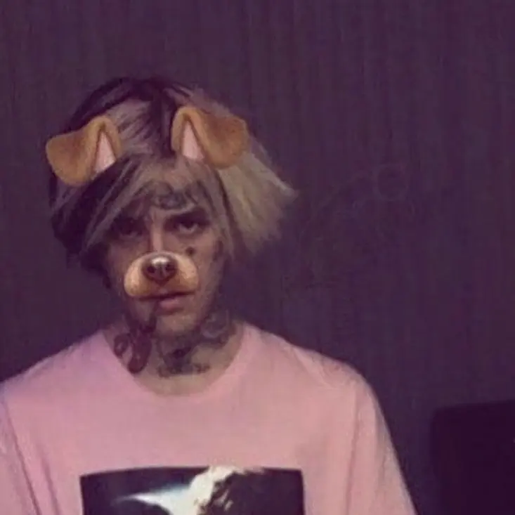 CrispPurse6607의 Lil Peep