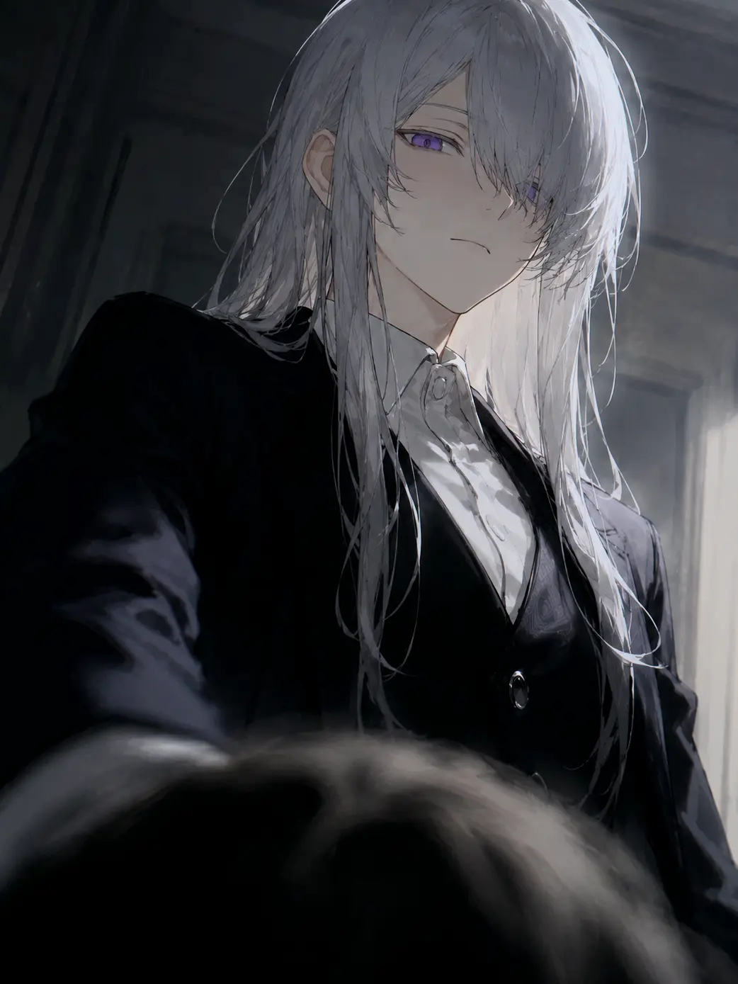SubtleFlash1856의 The Boundary and the Veil