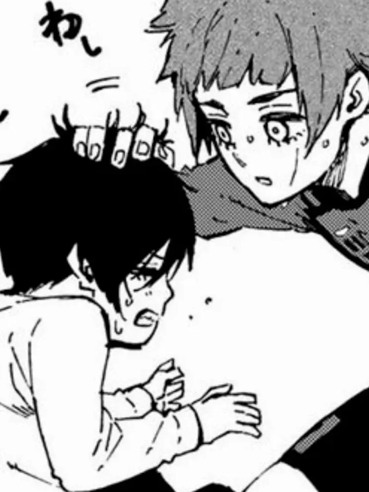 SturdyHip9022의 糸師兄弟