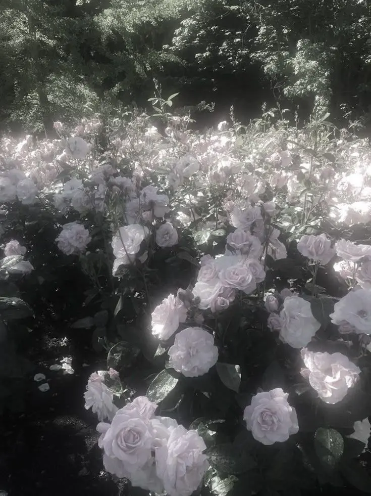 narumi_의 나루미 겐