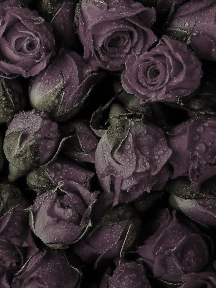 gonggong_99의 거짓 웃음이 습관인 인기 배우