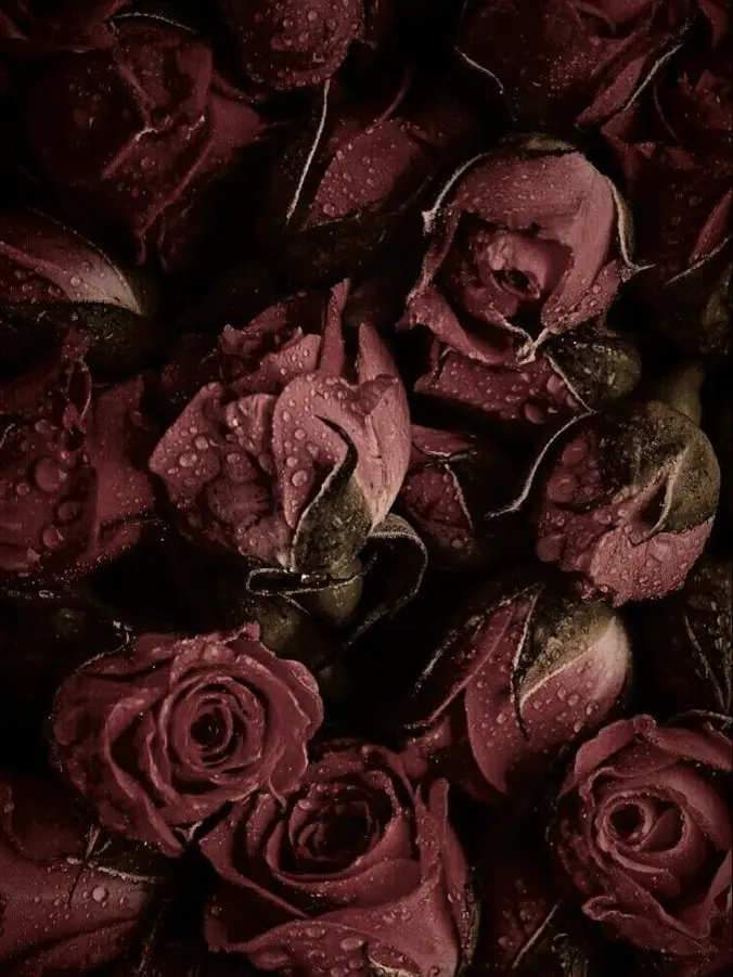 gonggong_99의 내 죽은 전애인을 닮은 새 매니저