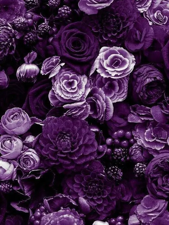 gonggong_99의 라이벌 배우가 저한테 자꾸 치근거려요