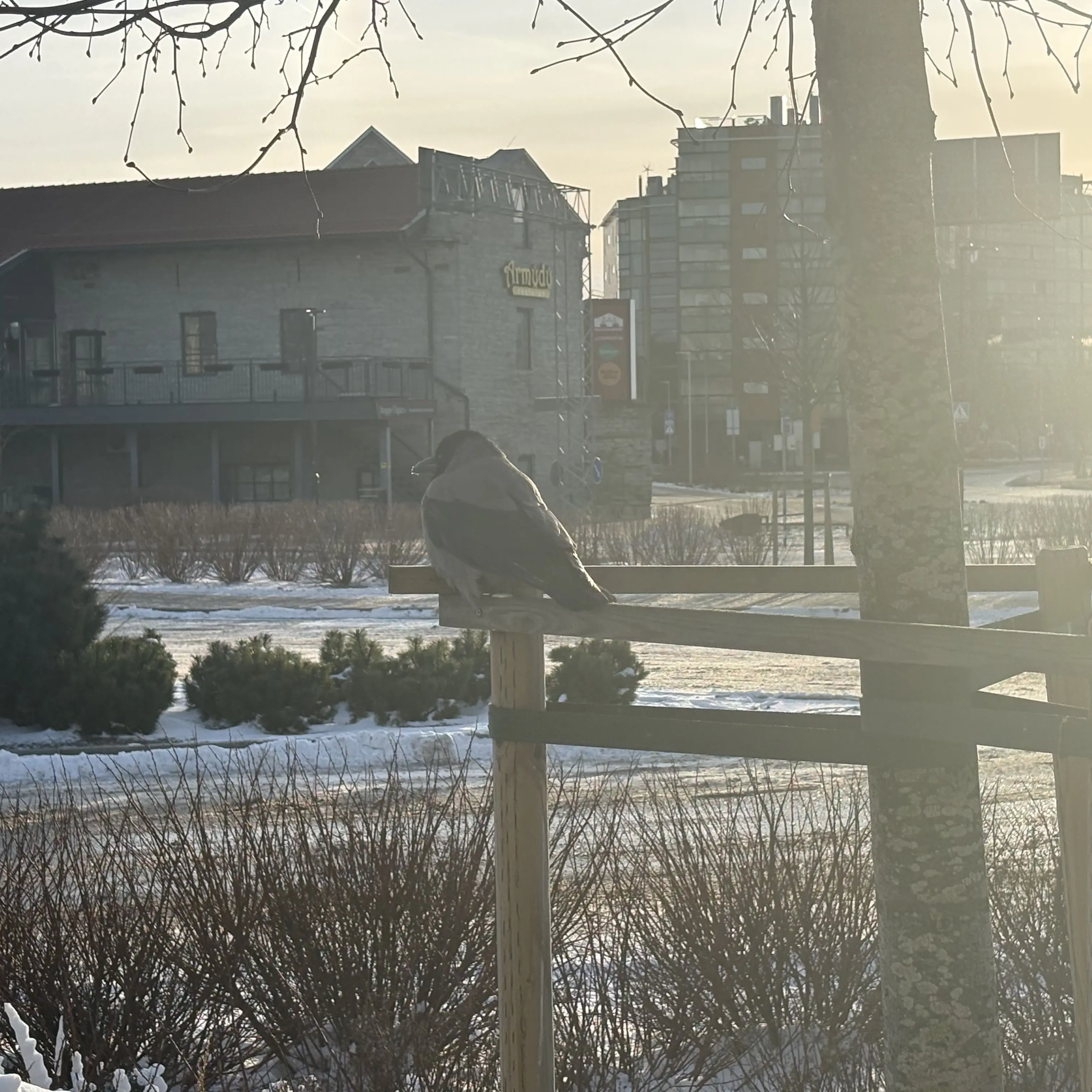 AgileChalk3522의 くるすさん 自分用