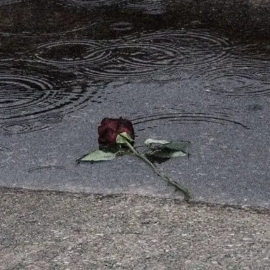 Profile image of 박슬기