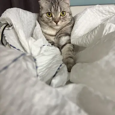 Profile image of 채윤