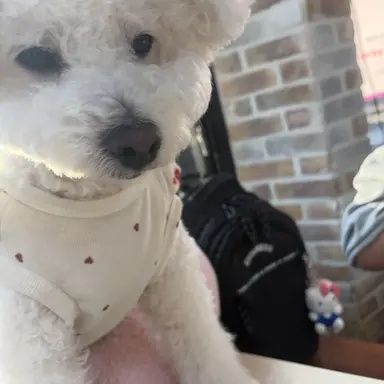 Profile image of 서성경