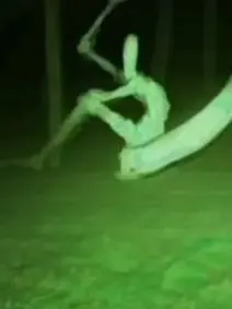 Two_time_Azure의 포세이큰 기생충 아포칼립스