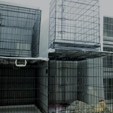 Profile image of 八左ヱ門