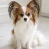 Profile image of ルーク