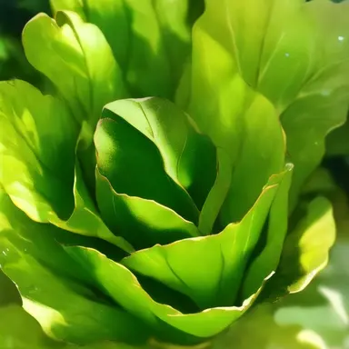 Profile image of 카운터