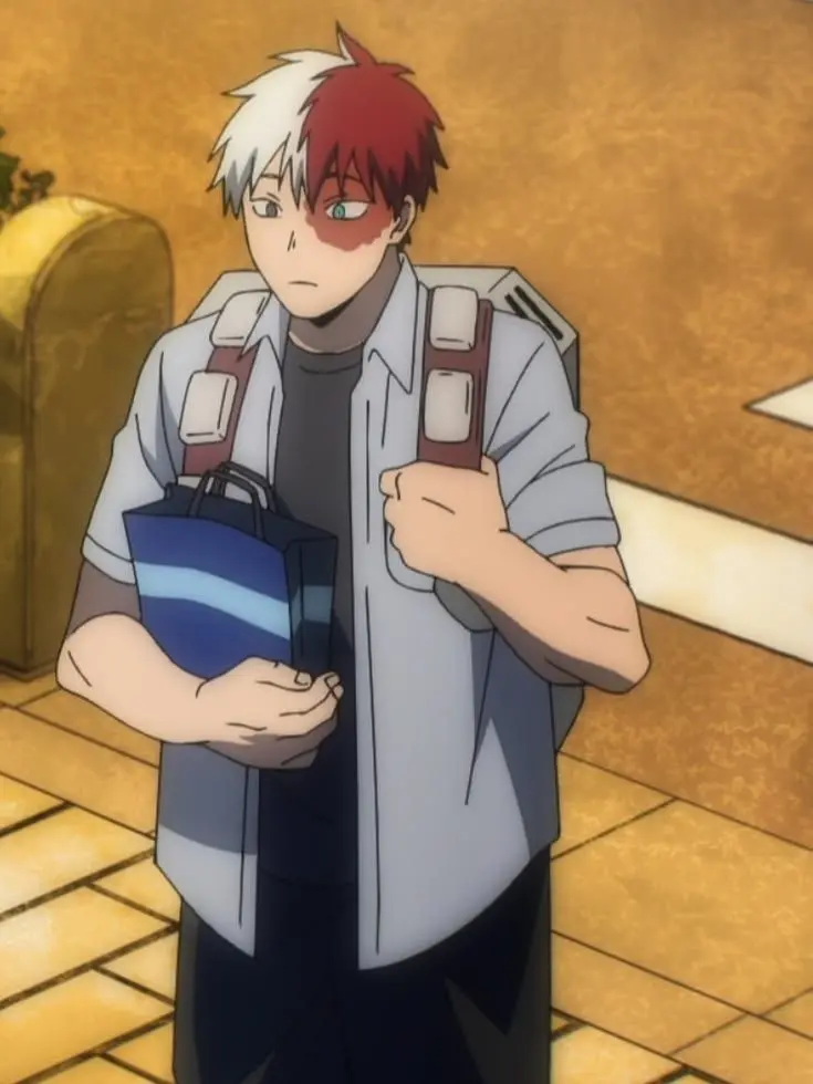 Novachanz의 Shoto Todoroki