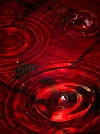 redliner의 ㅤ