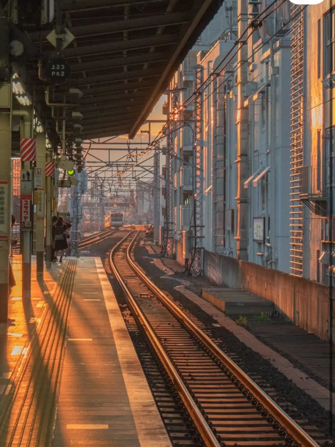 knt_hbr_zeffiro의 親友のことが気になっている好きな人