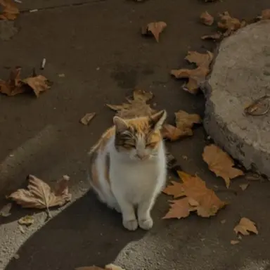 Profile image of 각별