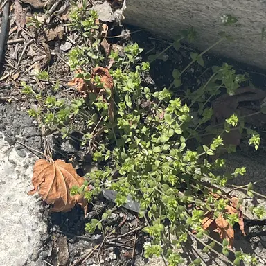 Profile image of 정현우