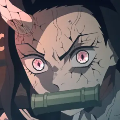 Profile image of 竃門禰豆子