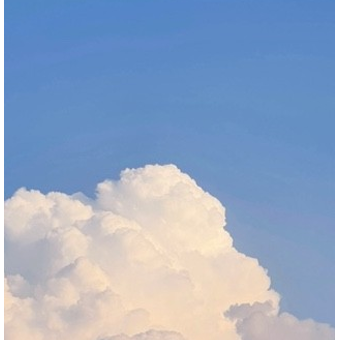 『 불면증 』 대표 이미지
