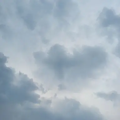 Profile image of 철사