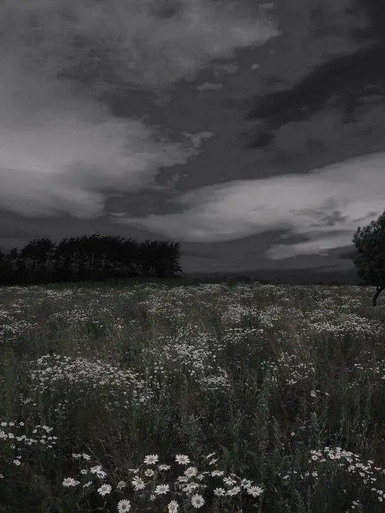 MatureMist6401의 Tomorrow, If We Have a Tomorrow.