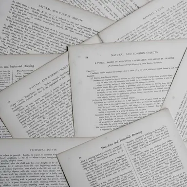 Profile image of ㄱㅈㄱ