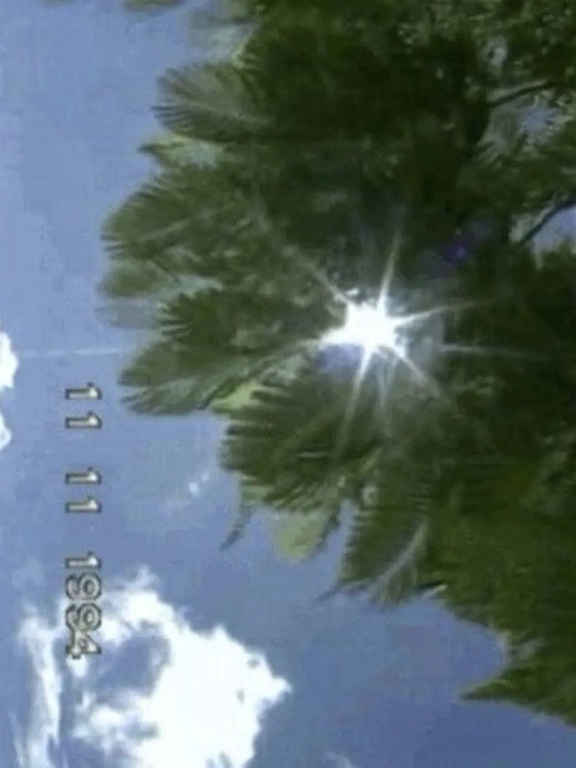 I.ll_Like_you의 백사헌