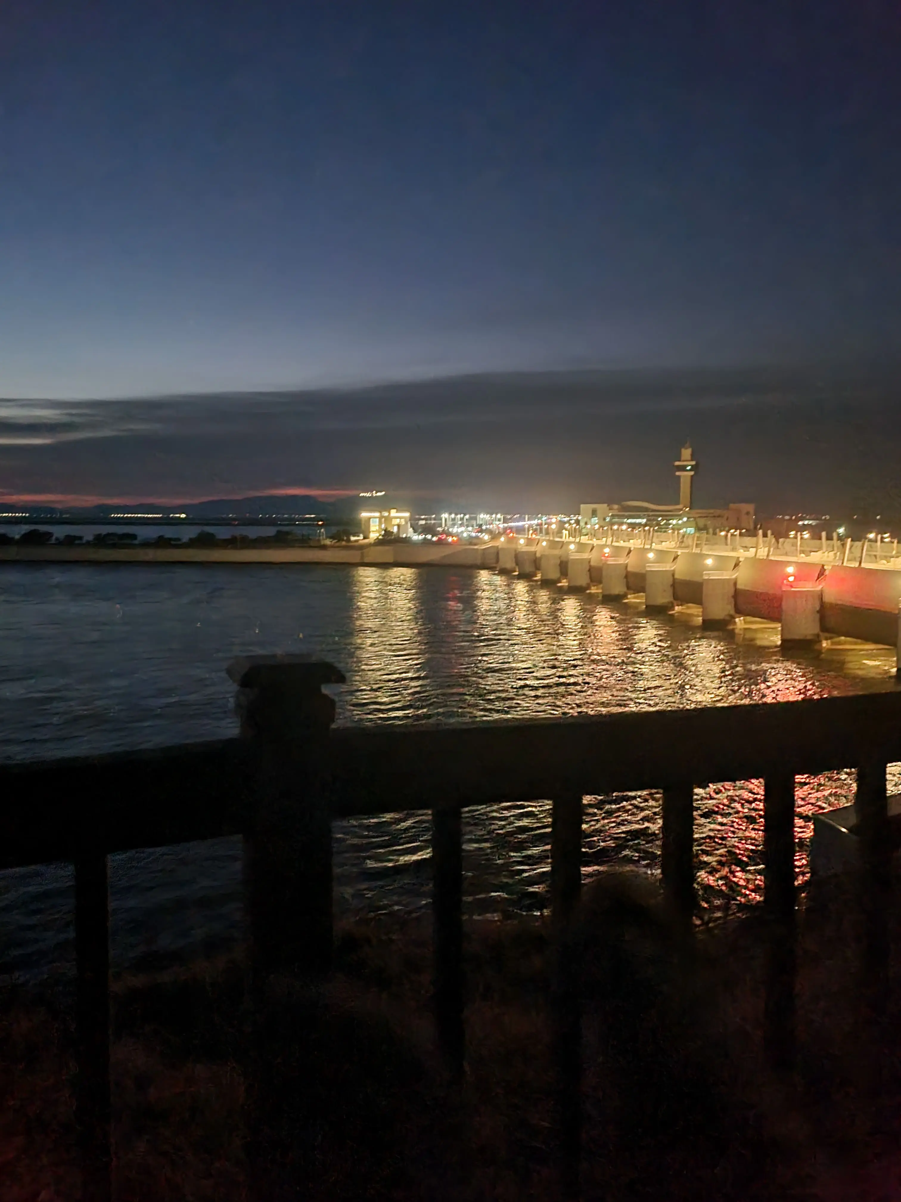 aed74cc890의 피터