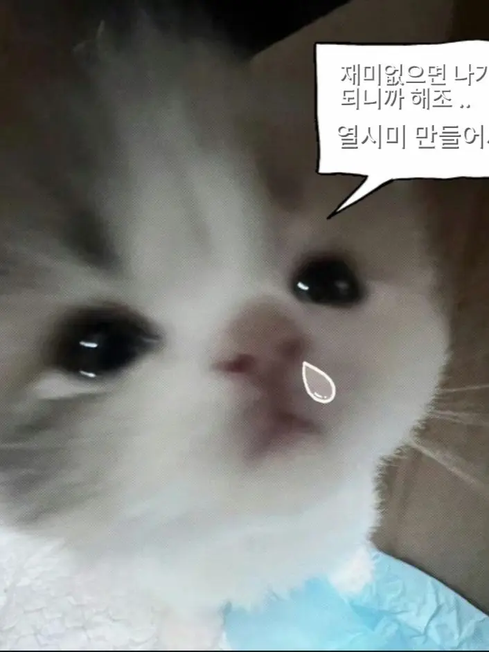 Perspective의 남녀무리 근데 유저가 남미새..?