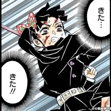 Profile image of 栗花落カナヲ