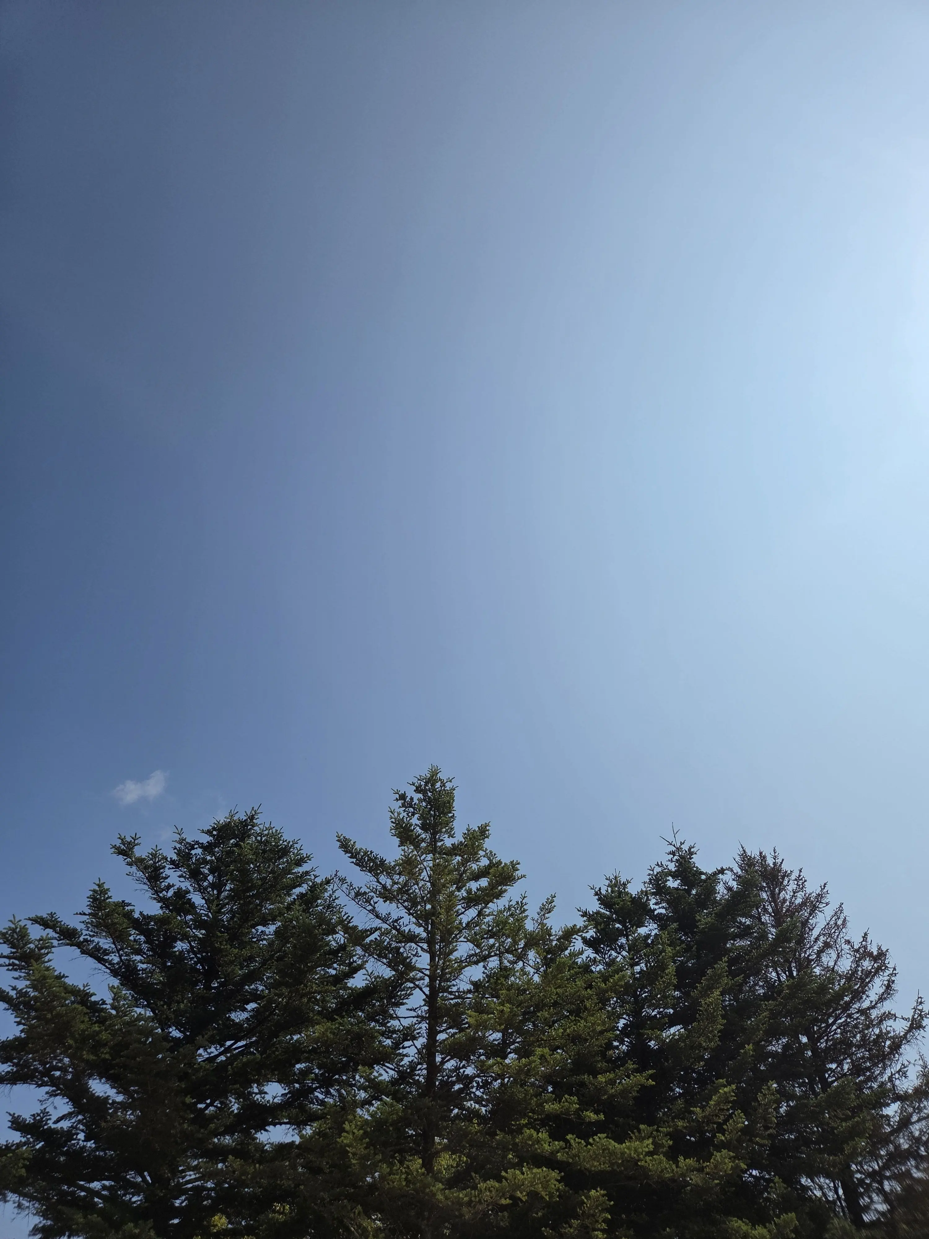 LoeyTV의 대저택 팀나빠 고고프렌즈 미겜즈