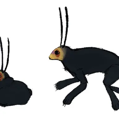 Profile image of 로튼 버니