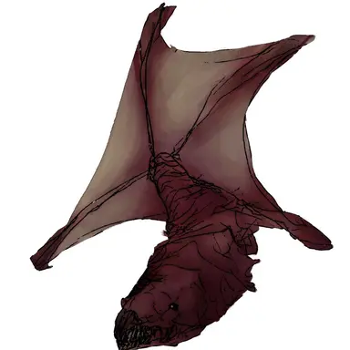 Profile image of 동물들