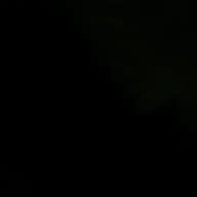 Profile image of 시에빙화