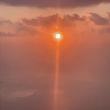 Profile image of 코마